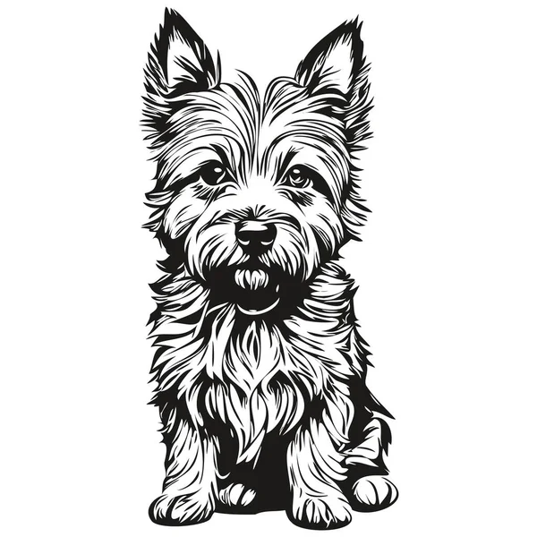 Силуэт Собаки Керн Терьер Рисунок Линии Животного Черно Белый Вектор — стоковый вектор