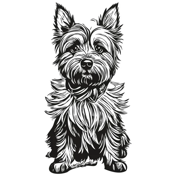 Cairn Terrier Hund Sällskapsdjur Silhuett Djur Linje Illustration Handritad Svart — Stock vektor