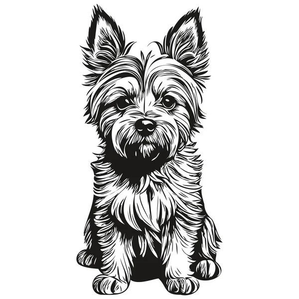Cairn Terrier Hund Sällskapsdjur Siluett Djur Linje Illustration Handritad Svart — Stock vektor