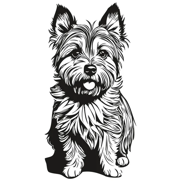 Cairn Gambar Gambar Anjing Terrier Vektor Ukiran Hitam Dan Putih - Stok Vektor