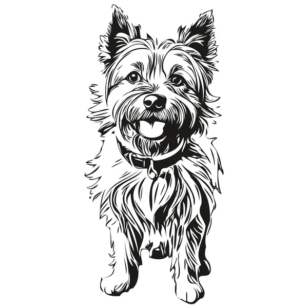 ภาพสเก ยงของส Cairn Terrier ภาพวาดสเก เวกเตอร แกะสล าและส ขาว — ภาพเวกเตอร์สต็อก