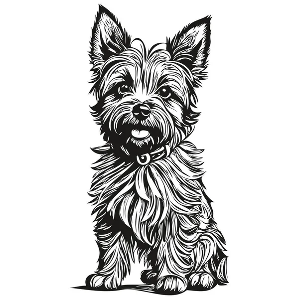 Cairn Terrier Cão Retrato Vetor Animal Desenho Mão Para Tatuagem — Vetor de Stock