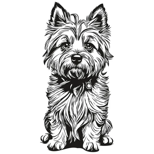 Cairn Terrier Cane Ritratto Vettore Disegno Mano Animale Tatuaggio Tshirt — Vettoriale Stock