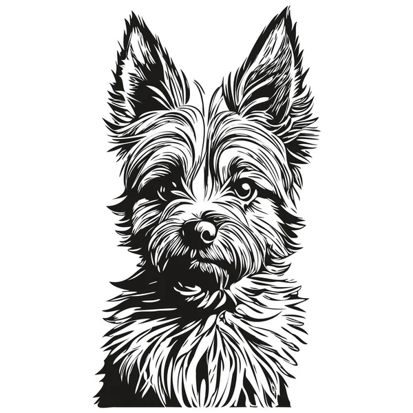 Cairn Terrier Köpek Gerçekçi Hayvan Çizimi Çizimi Siyah Beyaz Vektör — Stok Vektör