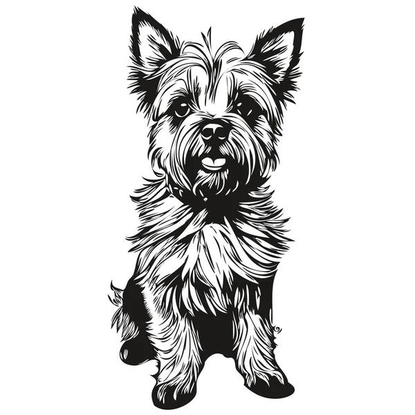 凯恩斯 特里埃现实的宠物狗图解 手绘脸黑白矢量 — 图库矢量图片