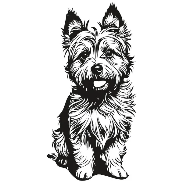 Cairn Terrier Dog Silhouette ยงต วละคร ปอาร ตเวกเตอร ยงวาดส าและส — ภาพเวกเตอร์สต็อก