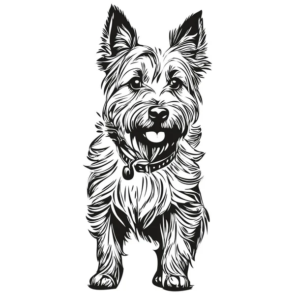 ケルンテリア犬のシルエットペットキャラクター クリップアートベクトルペット黒と白の現実的なペットのシルエットを描く — ストックベクタ