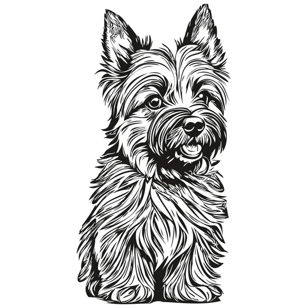 Cairn Terrier Chien Shirt Imprimé Noir Blanc Dessin Dessin Dessin — Image vectorielle