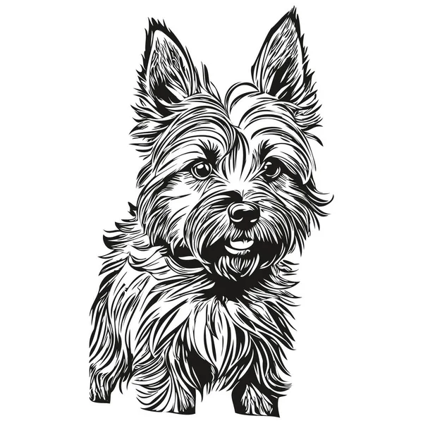 Cairn Terrier Dog Silhouette Pet Character Clip Art Vector Pets — Stock Vector