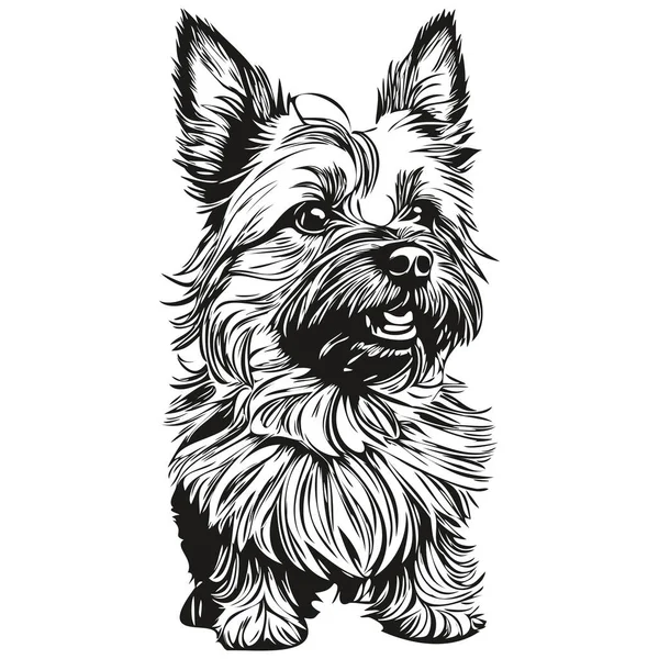 Cairn Terrier Perro Camiseta Impresión Blanco Negro Lindo Esquema Divertido — Vector de stock