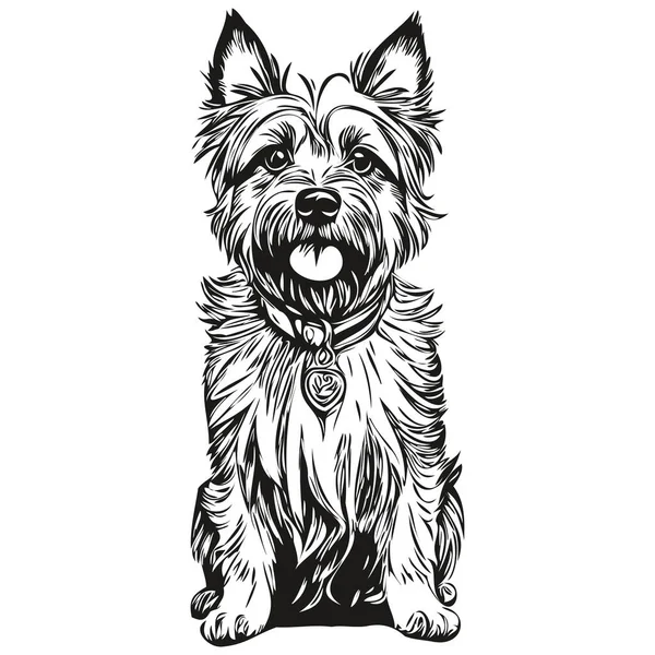 Cairn Terrier Cane Shirt Stampa Bianco Nero Simpatico Divertente Contorno — Vettoriale Stock