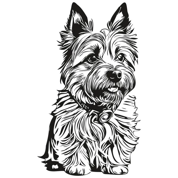 Cairn Terrier Perro Camiseta Impresión Blanco Negro Lindo Esquema Divertido — Vector de stock