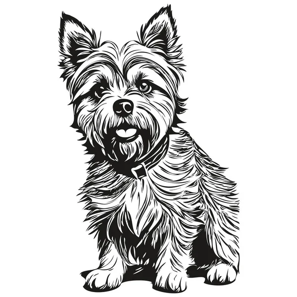 Cairn Terrier Chien Vecteur Visage Portrait Dessin Croquis Style Vintage — Image vectorielle