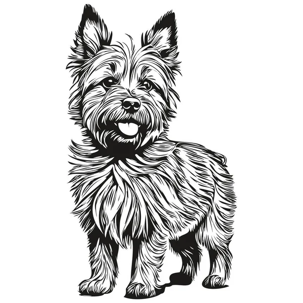 Cairn Terrier Hund Vektor Ansikte Rita Porträtt Skissa Vintage Stil — Stock vektor