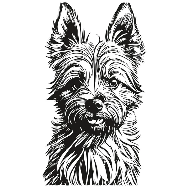 凯恩斯犬矢量图形 手绘铅笔动物线条插图草图 — 图库矢量图片