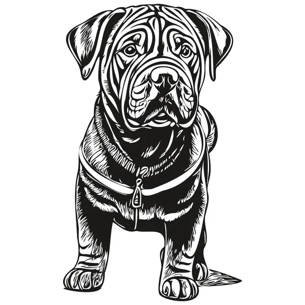 Китайская Шар Пей Собака Черного Вектора Рисования Изолированный Рисунок Лица — стоковый вектор