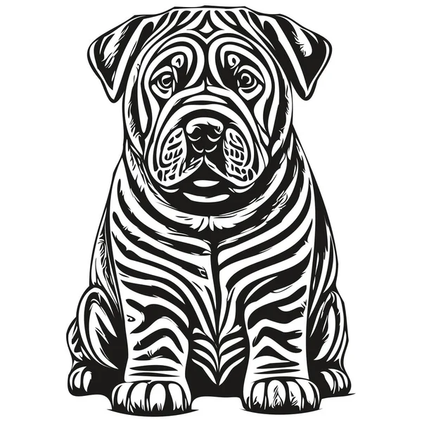 Chinese Shar Pei Dog Breed Line Drawing Clip Art Animal — Stock Vector