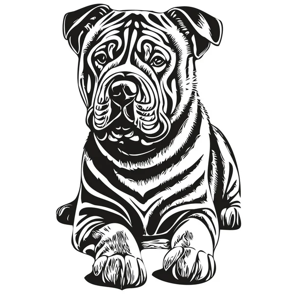 中国のシャールペイ犬漫画の顔インクの肖像画 黒と白のスケッチ描画 Tシャツプリント現実的な品種ペット — ストックベクタ