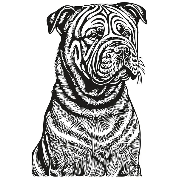 中国のシャールペイ犬の品種の線画 クリップアート動物の手の描画ベクトル黒と白の現実的なペットのシルエット — ストックベクタ