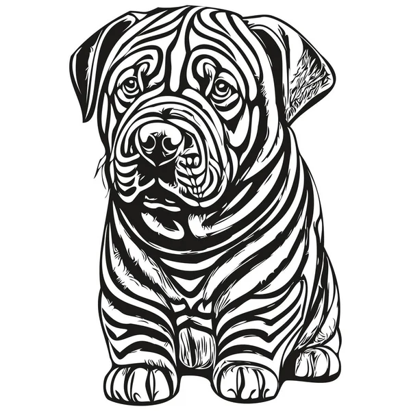 Chiński Shar Pei Pies Kreskówka Twarz Atrament Portret Czarno Biały — Wektor stockowy