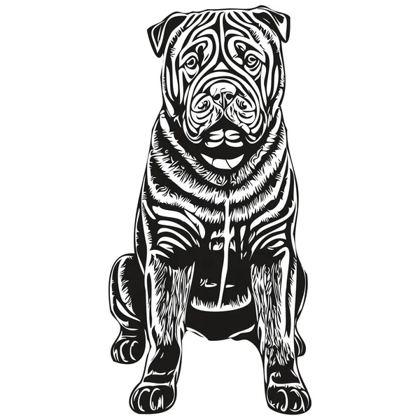 China Shar Pei Face Vector Portrait Funny Outline Pet Appearance — 스톡 벡터