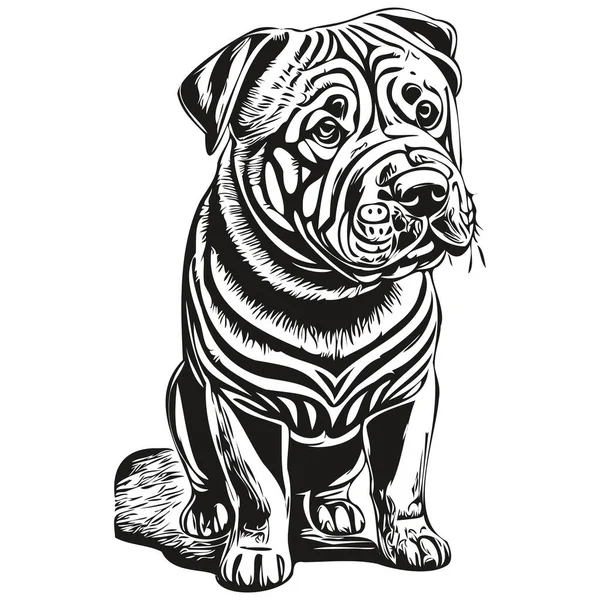 Chino Shar Pei Perro Cara Vector Retrato Divertido Contorno Mascota — Archivo Imágenes Vectoriales