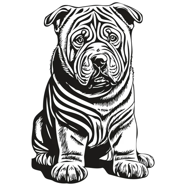 Китайський Шарпейський Собака Головою Лінії Малювання Вектор Намальована Вручну Ілюстрація — стоковий вектор