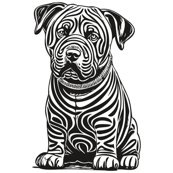 Chinese Shar Pei Dog Head Line Drawing Vector Hand Drawn — Stock Vector