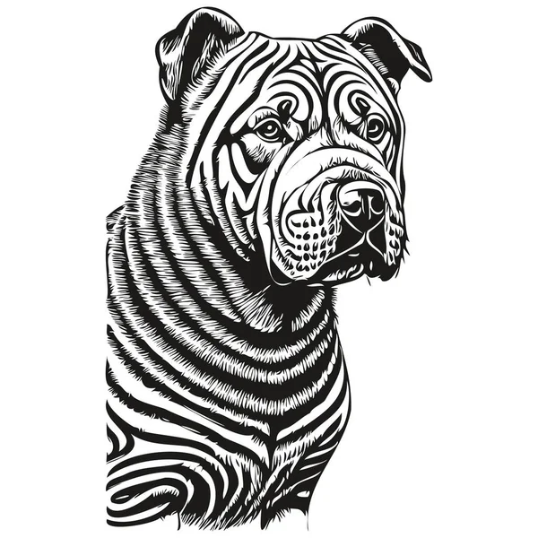 Chinês Shar Pei Cão Linha Principal Desenho Vetor Mão Desenhada — Vetor de Stock