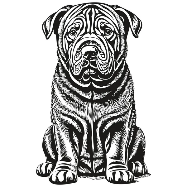 Chinese Shar Pei Dog Ink Sketch Drawing Vintage Tattoo Shirt — Stock Vector