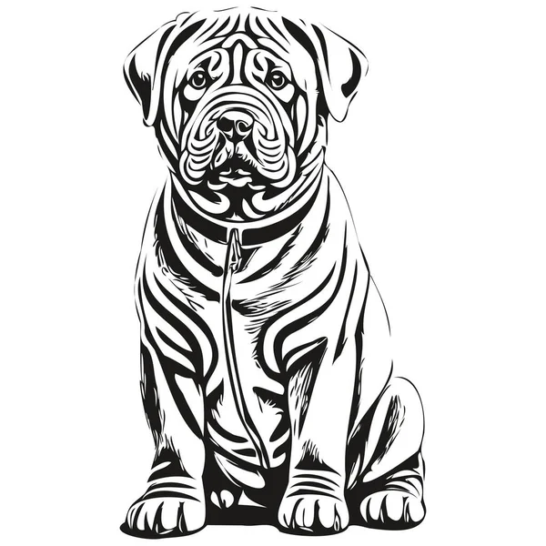 Chinês Shar Pei Cão Linha Ilustração Preto Branco Tinta Esboço — Vetor de Stock