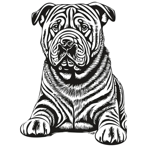 Chinese Shar Pei Dog Isolated Drawing White Background Head Pet — Stock Vector