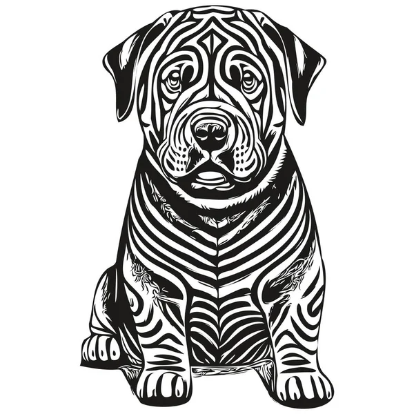 Chinese Shar Pei Dog Outline Pencil Drawing Artwork Black Character — Stock Vector
