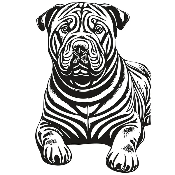 中国のシャールペイ犬鉛筆手描きベクトル アウトラインイラストペットの顔のロゴ黒と白 — ストックベクタ