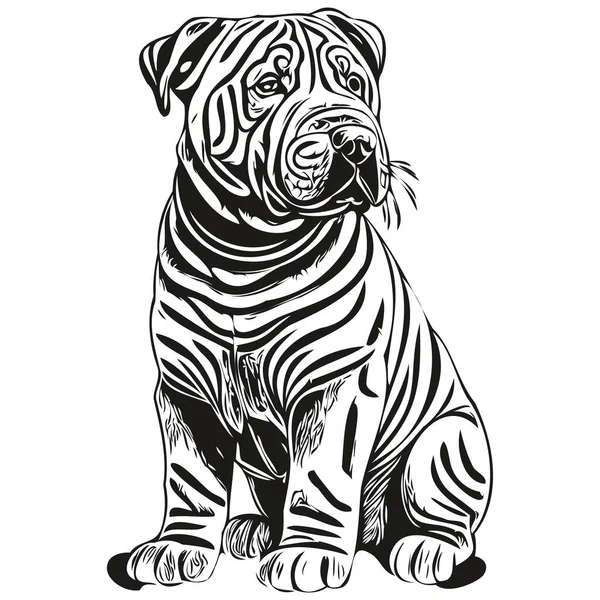 中国のシャールペイ犬鉛筆手描きベクトル アウトラインイラストペットの顔のロゴ黒と白のスケッチの描画 — ストックベクタ