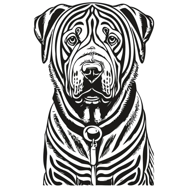 中国のシャールペイ犬ペットのシルエット 動物のラインイラストの手は黒と白のベクトル現実的なペットのシルエットを描いた — ストックベクタ