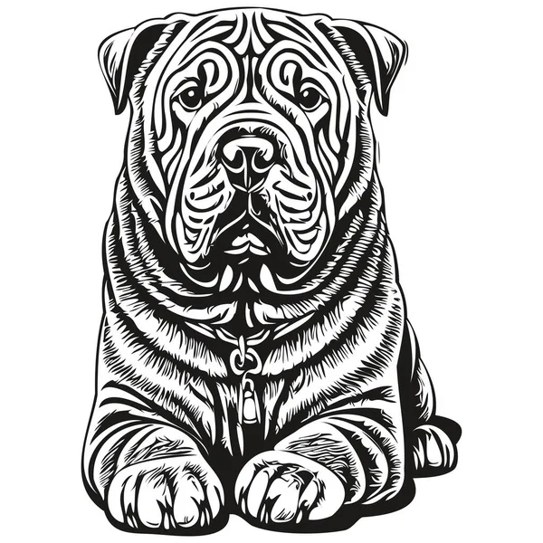 Китайський Силует Собаки Шар Пей Лінія Тварин Ілюстрація Рука Намальована — стоковий вектор