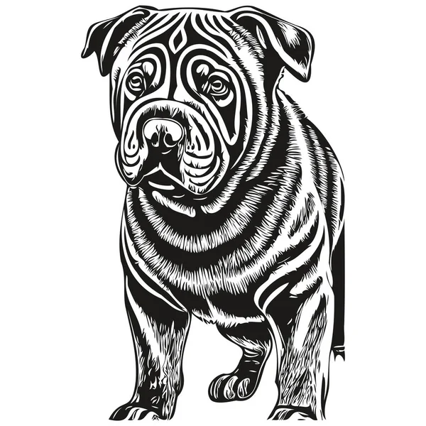 Chinês Shar Pei Cão Pet Silhueta Animal Linha Ilustração Mão — Vetor de Stock