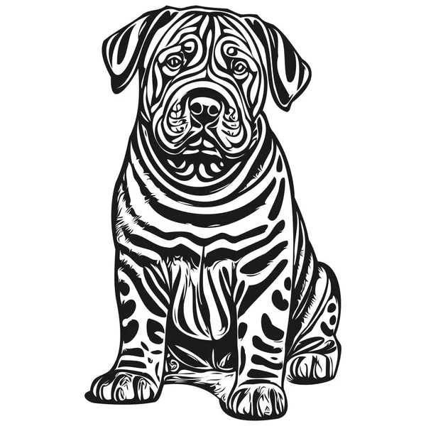 中国のシャールペイ犬ペットのシルエット 動物のラインイラストの手が黒と白のベクトルを描いた — ストックベクタ