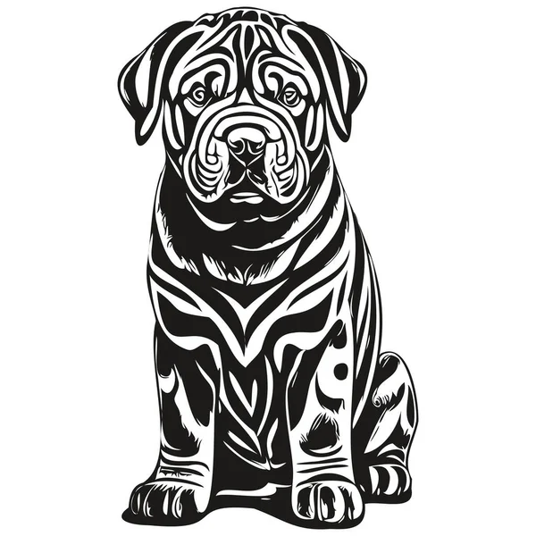 中国のシャールペイ犬ペットのスケッチイラスト 黒と白の彫刻ベクトル現実的な品種のペット — ストックベクタ