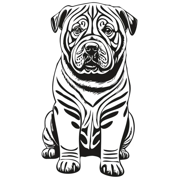 Chino Shar Pei Perro Retrato Vector Animal Mano Dibujo Para — Archivo Imágenes Vectoriales
