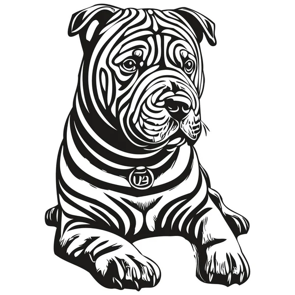 China Shar Pei Real Pencil Drawing Vector Line Artist Dog — 스톡 벡터
