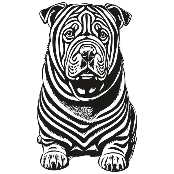 中国のシャールペイ犬現実的なペットのイラスト 手描きの顔黒と白のベクトル現実的な品種のペット — ストックベクタ