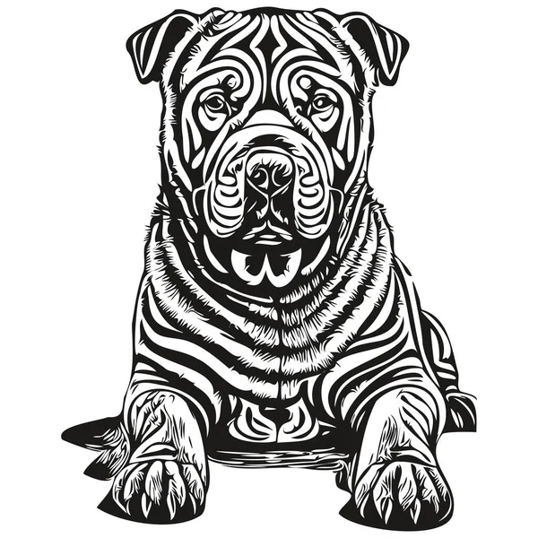 Chinês Shar Pei Cão Pet Esboço Ilustração Preto Branco Gravura — Vetor de Stock
