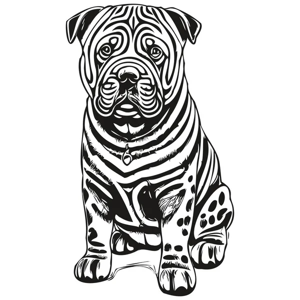 中国のシャールペイ犬ベクトルで現実的な鉛筆画 犬の顔の線画黒と白のスケッチ画 — ストックベクタ
