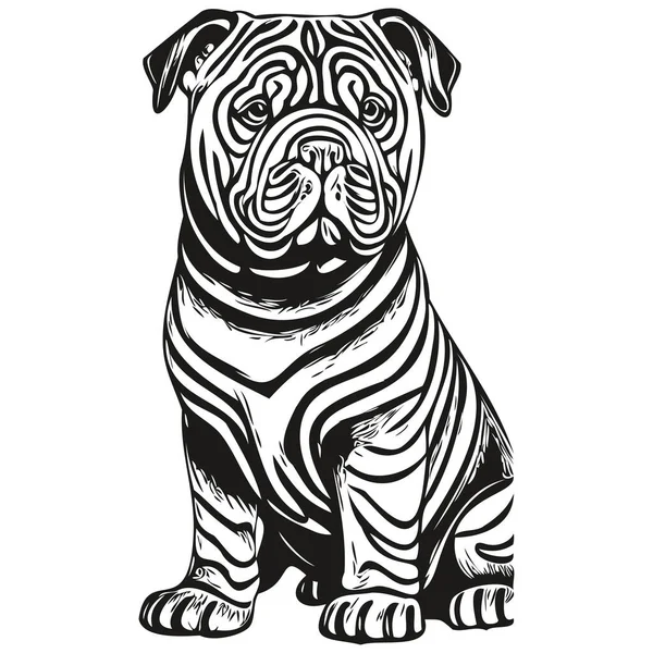 中国のシャールペイ犬現実的なペットのイラスト 手描きの顔黒と白のベクトル現実的なペットのシルエット — ストックベクタ