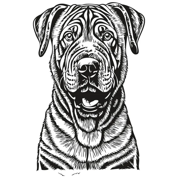 中国沙培狗现实的宠物图解 手绘脸黑白矢量草图 — 图库矢量图片