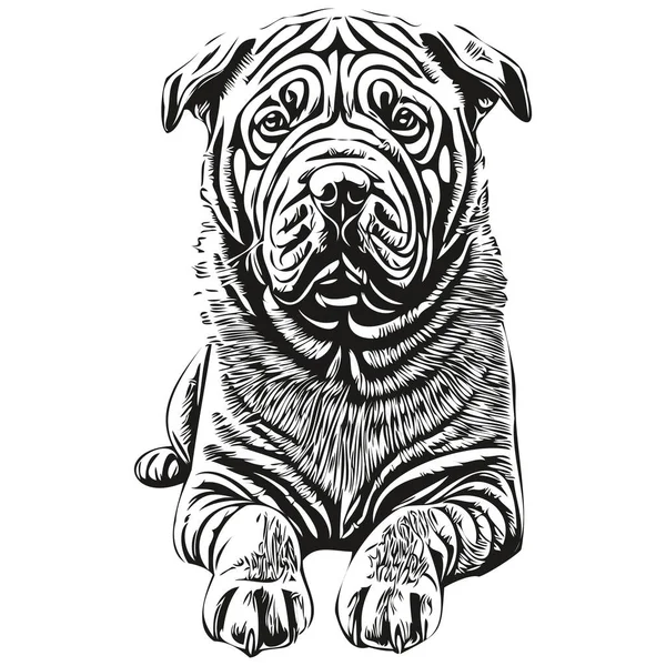 中国沙培狗的人物形象 剪贴艺术载体宠物画黑白逼真品种宠物 — 图库矢量图片