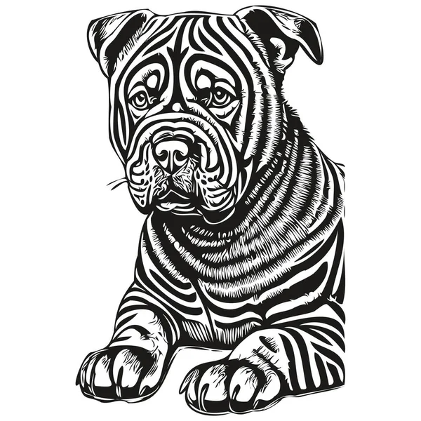 Chino Shar Pei Perro Silueta Mascota Carácter Clip Arte Vector — Archivo Imágenes Vectoriales