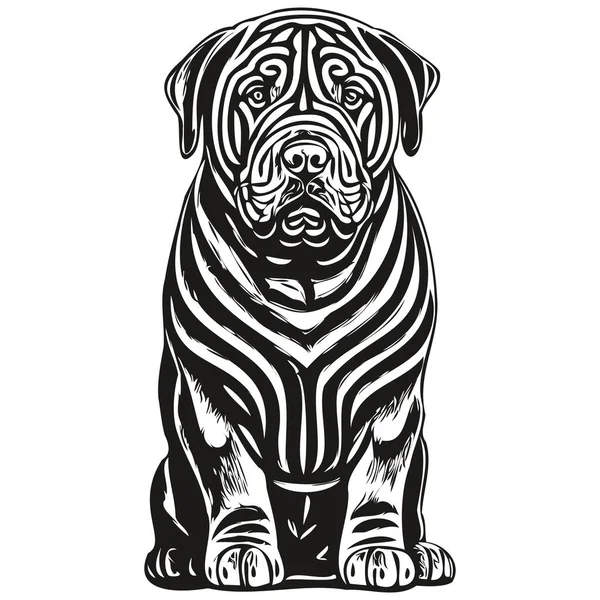 Chinese Shar Pei Dog Vector Face Drawing Portrait Sketch Vintage — Stock Vector